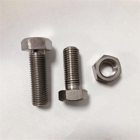 Multifunksjonell tyverisikring og mutter Ss Hilti Royal Anchor Bolt M25
