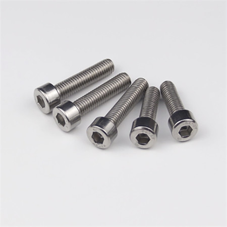 6'' 8'' 12'' SS304 tredør Flush Låsebolt for dobbel dør