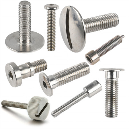 Svingbar Heisering Rustfritt stål Serie 304 316 Løfteøyebolter DIN580 Øyebolt SUS304 SUS316