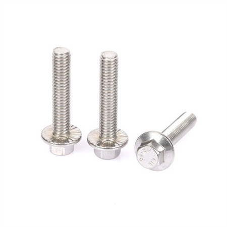 Rustfritt stål SS304 SS316 Ankerbolt