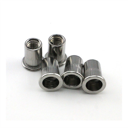 Qbh DIN982 DIN 982 rustfritt stål SS /Ss/SUS 304/316 SS304/SS316 SUS304/SUS316 ikke-metallisk innsats rådende moment Nylon sekskant sekskantede låsemuttere