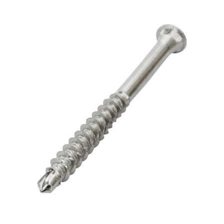Pan Head, Flat Csk Head, Truss Head, Hex Washer Head, Hex Flange Head in Material Ss410 & SS304 Self Drilling Screw